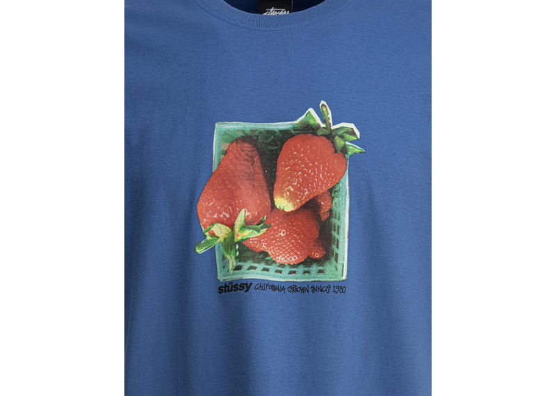 Stussy Berries T-Shirt - Blue
