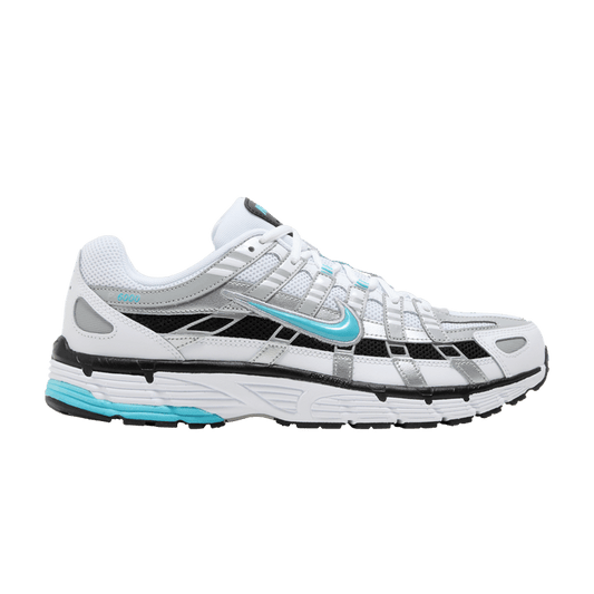 P-6000 Dusty Cactus