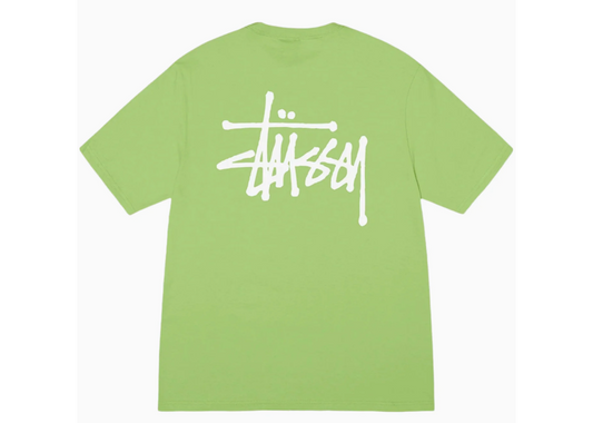 STUSSY BASIC T-SHIRT GREEN