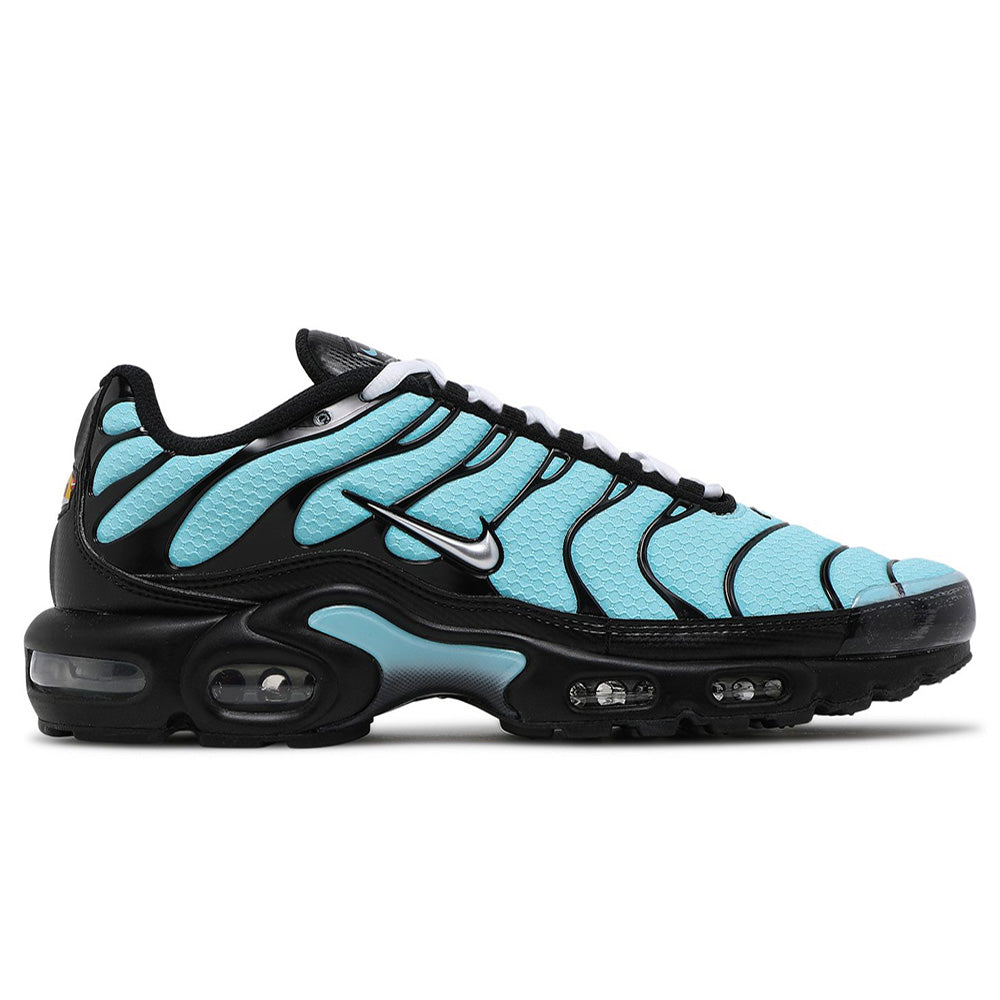 Nike TN Air Max Plus Aqua Silver