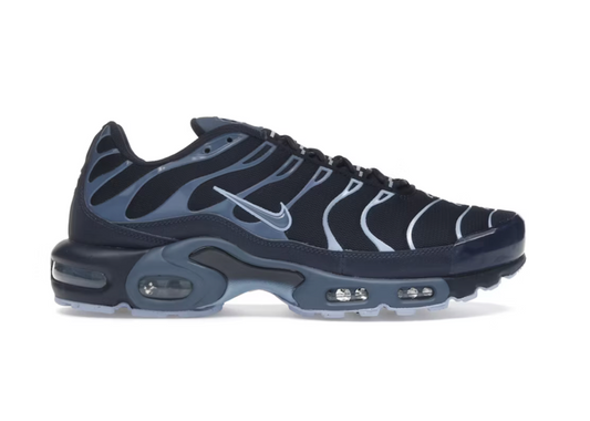 Nike Air Max Plus Obsidian Aluminum